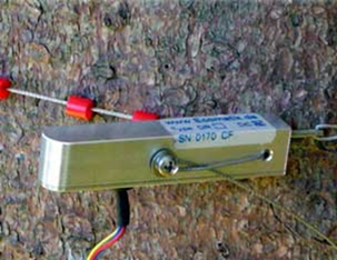 周長生長測(cè)量儀