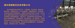 滕州南鍛100噸溴敵隆蠟塊成型液壓機(jī) 100t老鼠蠟丸成型四柱油壓機(jī)